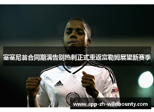 塞塞尼翁合同期满告别热刺正式重返富勒姆展望新赛季